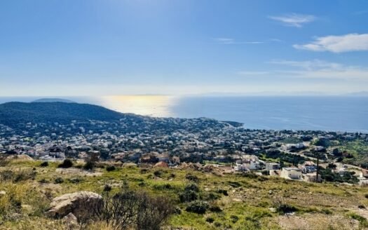 Dvipusis žemės sklypas 1300 kv. m